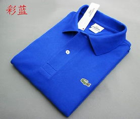 兄弟網盟余金蓮2013新款精品鱷魚polo男式t恤,兄弟網盟余金蓮2013新款精品鱷魚polo男式t恤生產廠家,兄弟網盟余金蓮2013新款精品鱷魚polo男式t恤價格