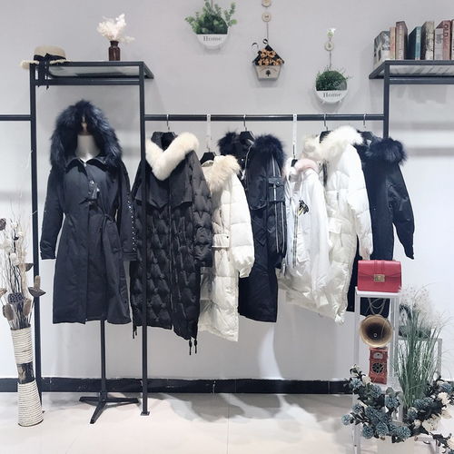 品牌大碼女裝 專業產品介紹與批發代理指南